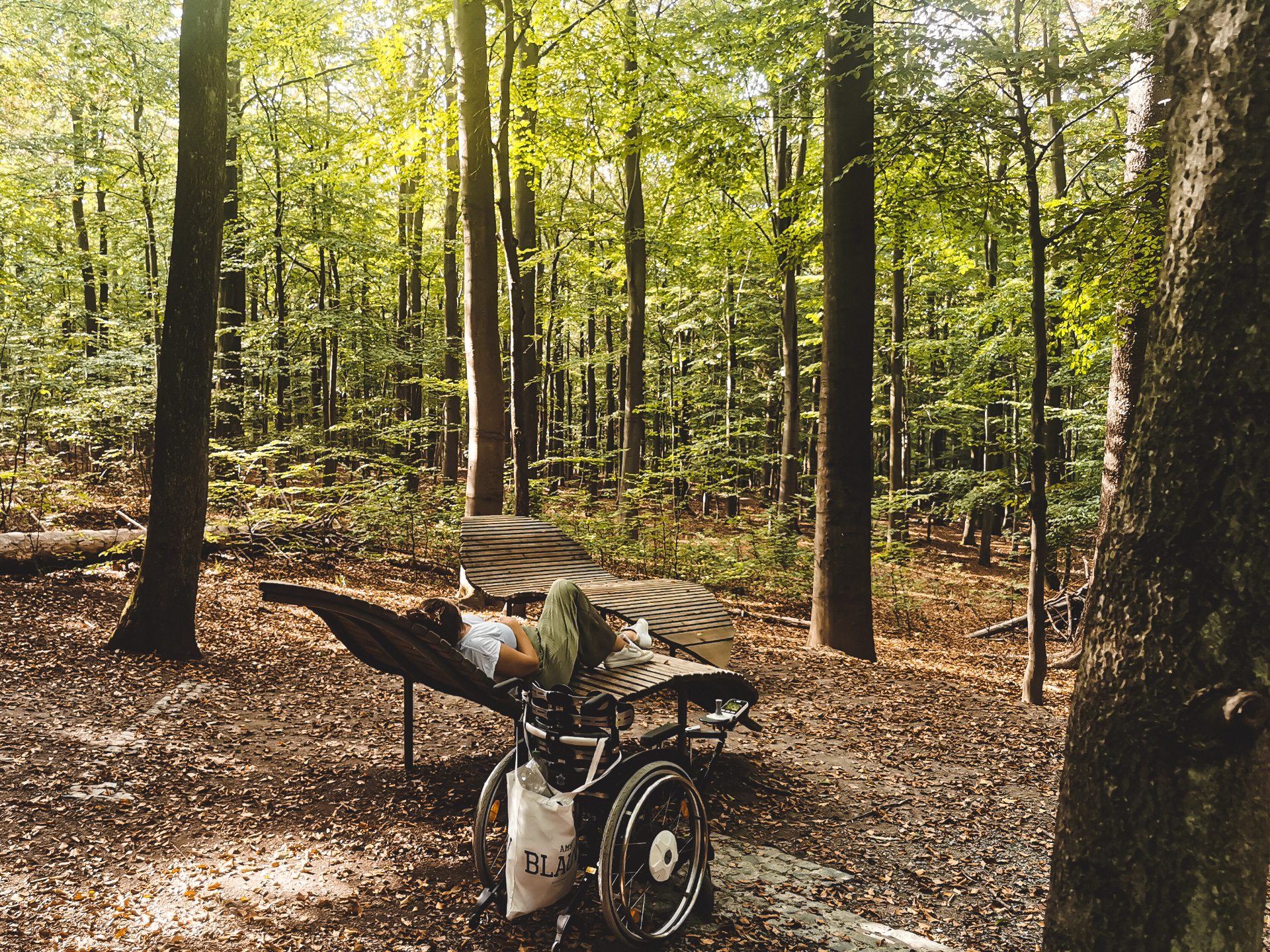 Eine Frau liegt zwischen Bäumen auf einer hölzernen Liege in Form eines Buchenblattes im Nationalpark Eifel. Vor der Liege steht ihr Rollstuhl. 