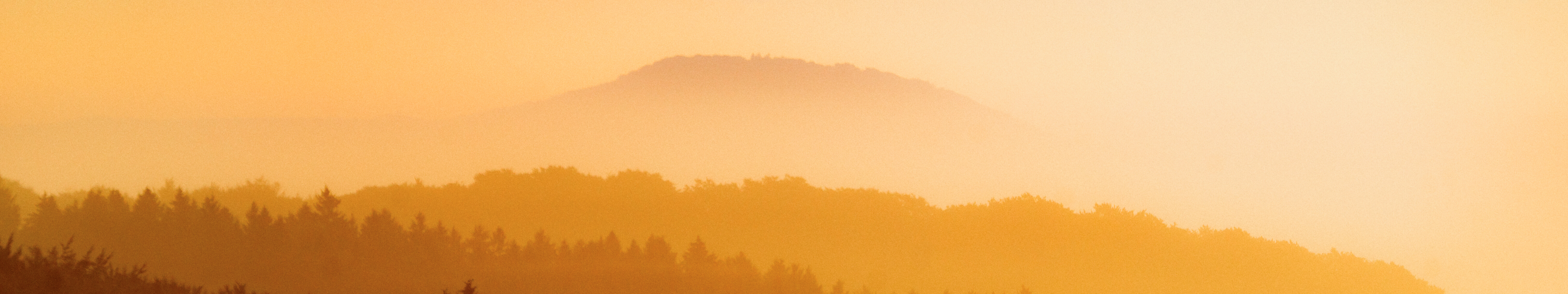 Kalvarienberg Sonnenaufgang bei Alendorf