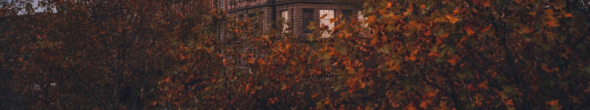 Das historische Gebäude der Kunstakademie Düsseldorf hinter herbstlich gefärbten Bäumen