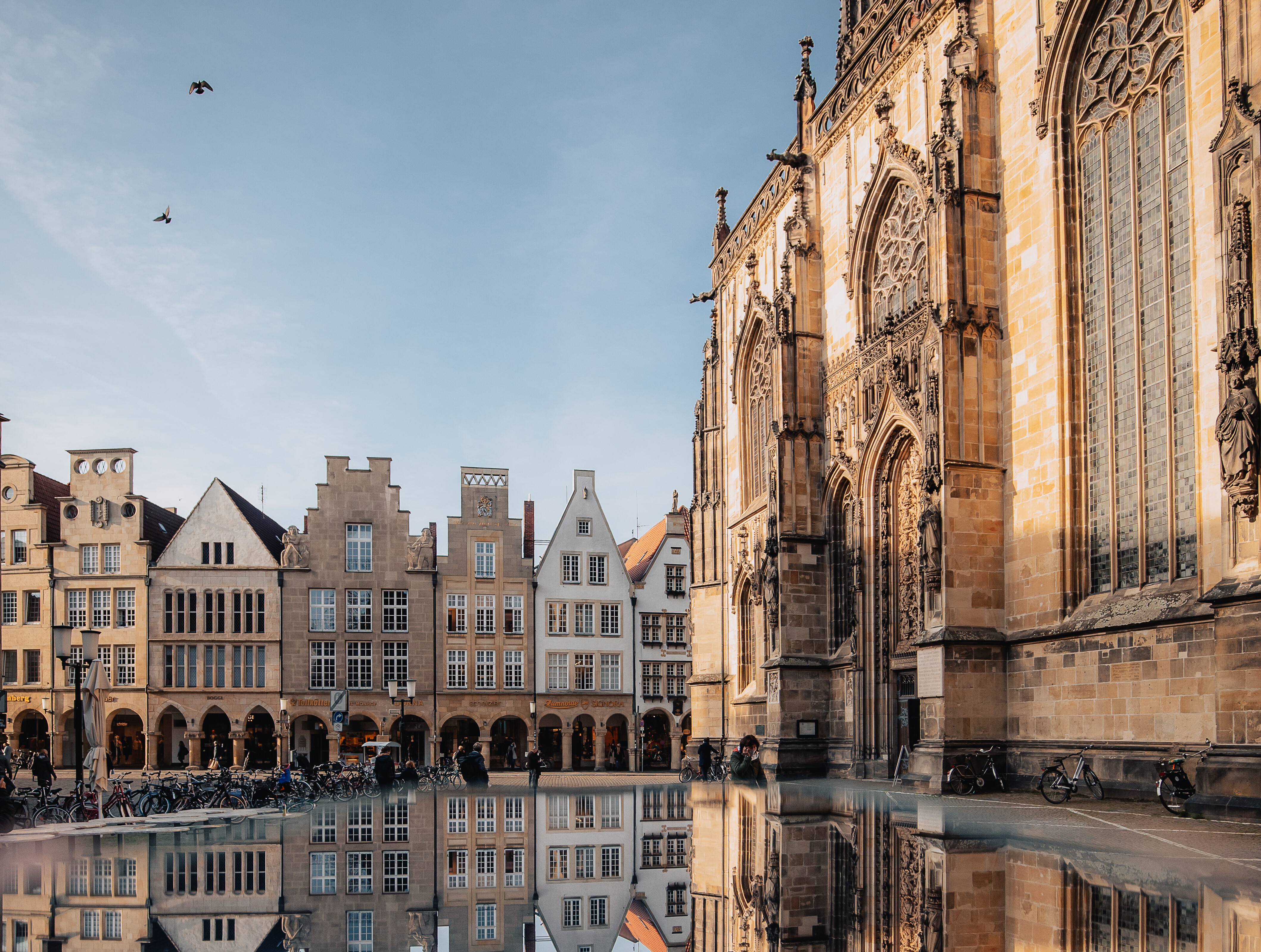 Die historischen Fassaden am Prinzipalmarkt Münster spiegeln sich im Wasser des Lambertibrunnens. 