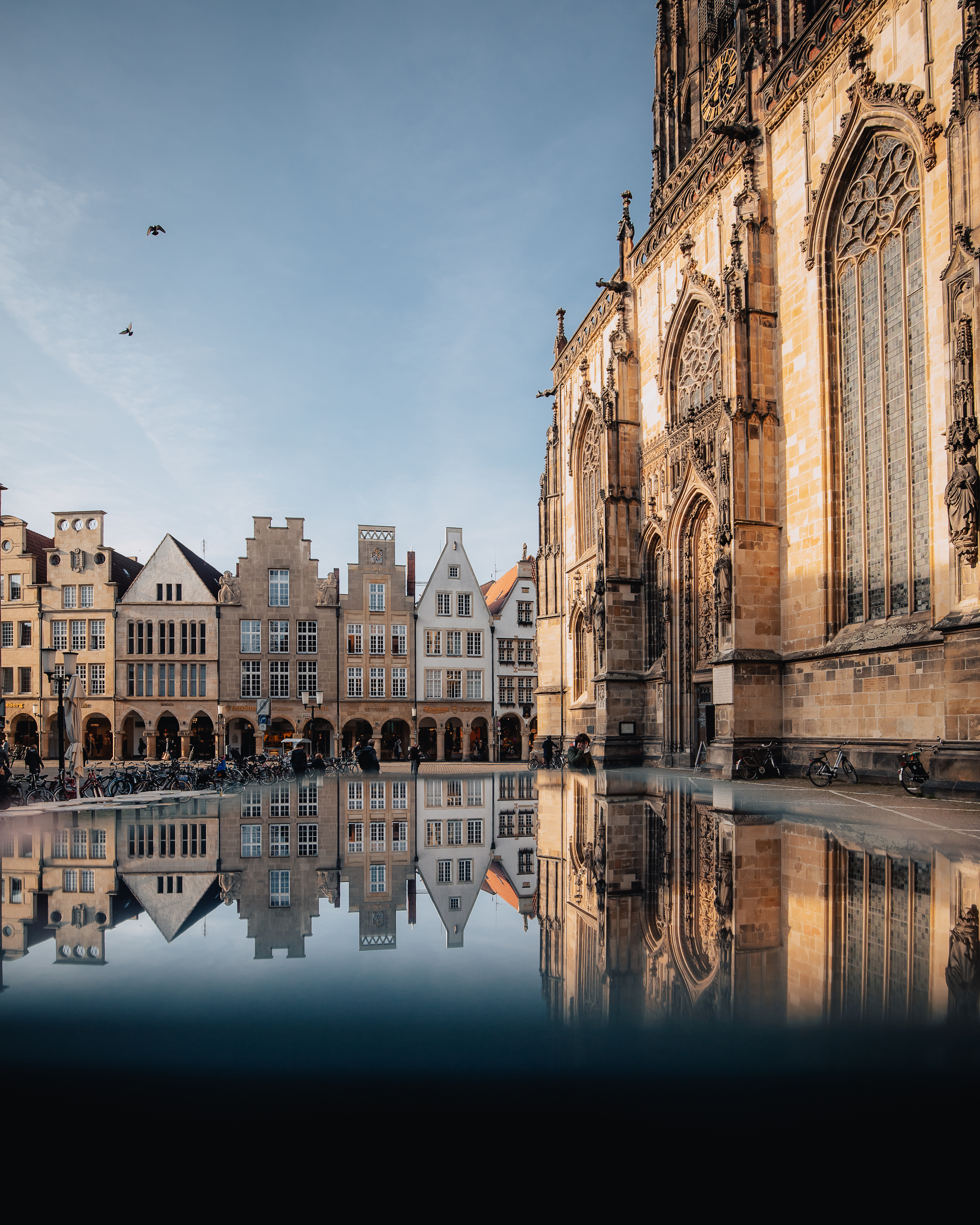 Die historischen Fassaden am Prinzipalmarkt Münster spiegeln sich im Wasser des Lambertibrunnens. 