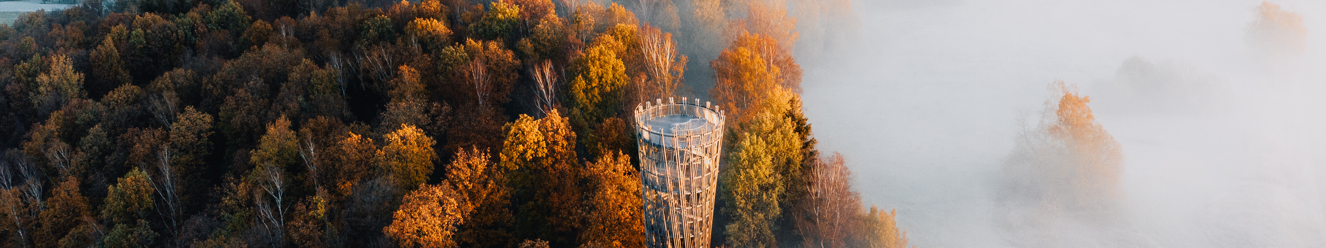 Nebelschwaden im herbstlich gefärbtem Wald am hölzernen Jübergturm im Sauerland  