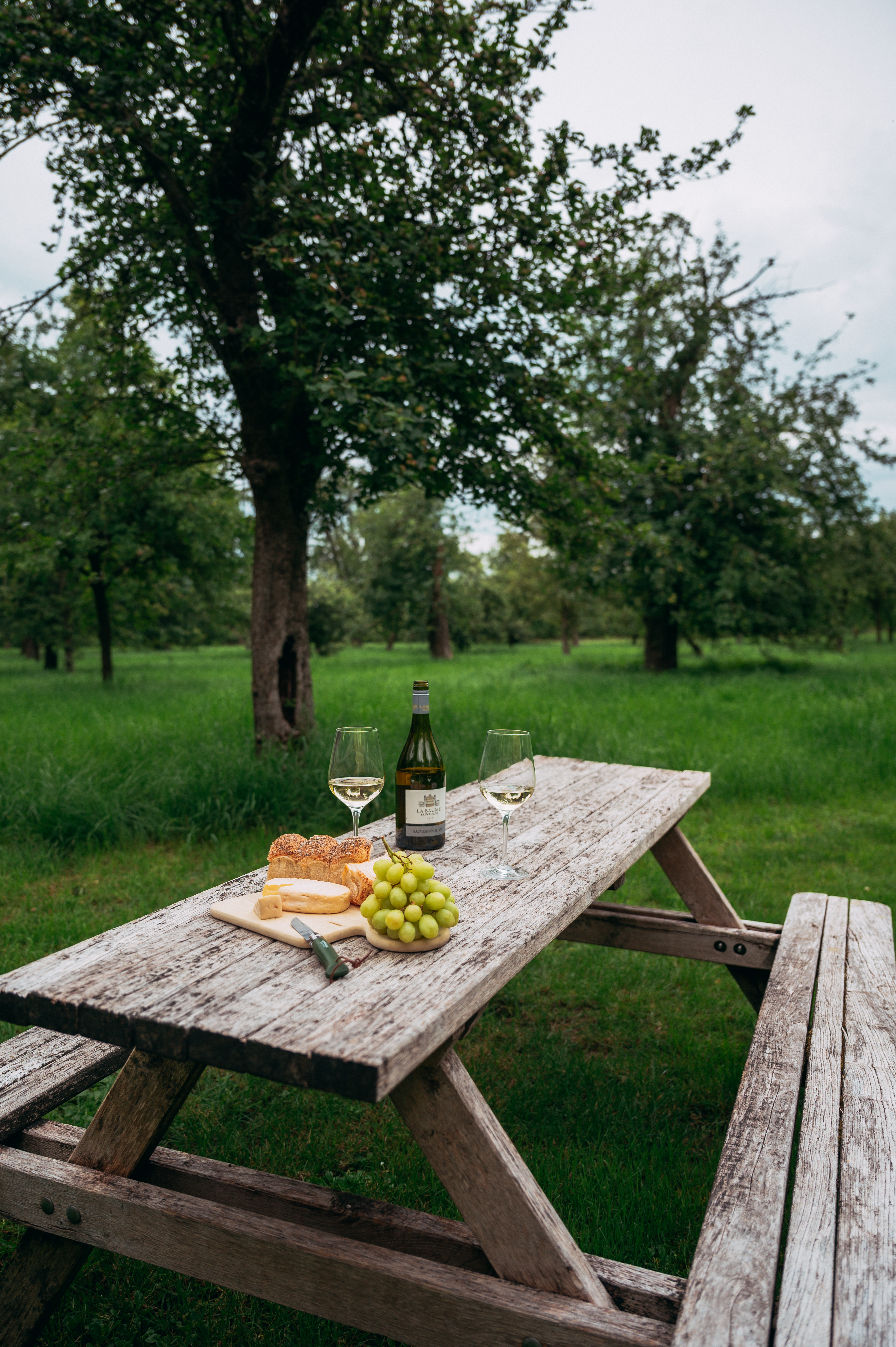 Auf einer Streuobstwiese am Kulturgut Haus Nottbeck im Münsterland stehen eine Flasche Wein, zwei Weingläser, Trauben und Brot auf einem Holztisch. 