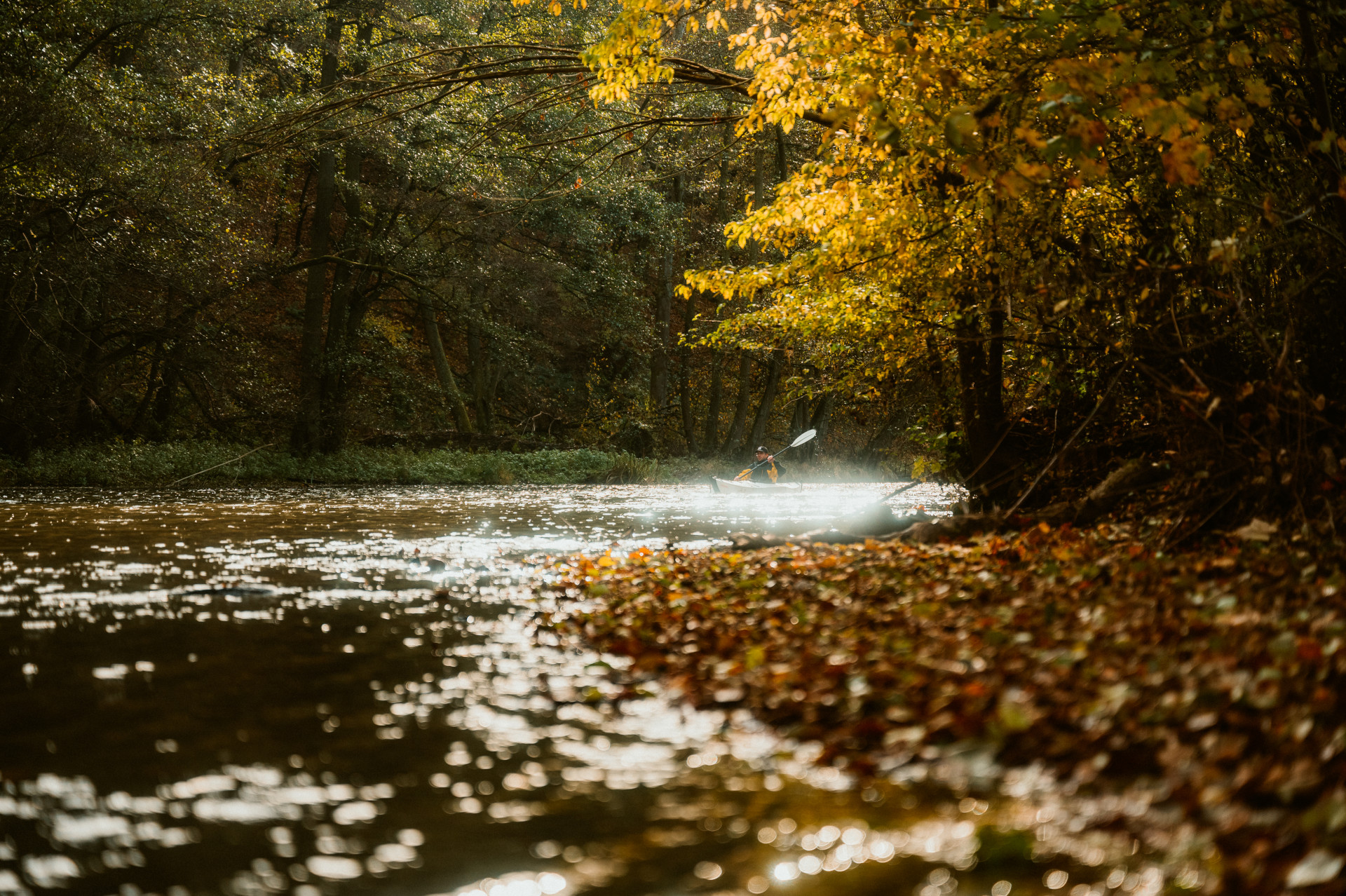 Kayaktour im Herbst auf der Rur.