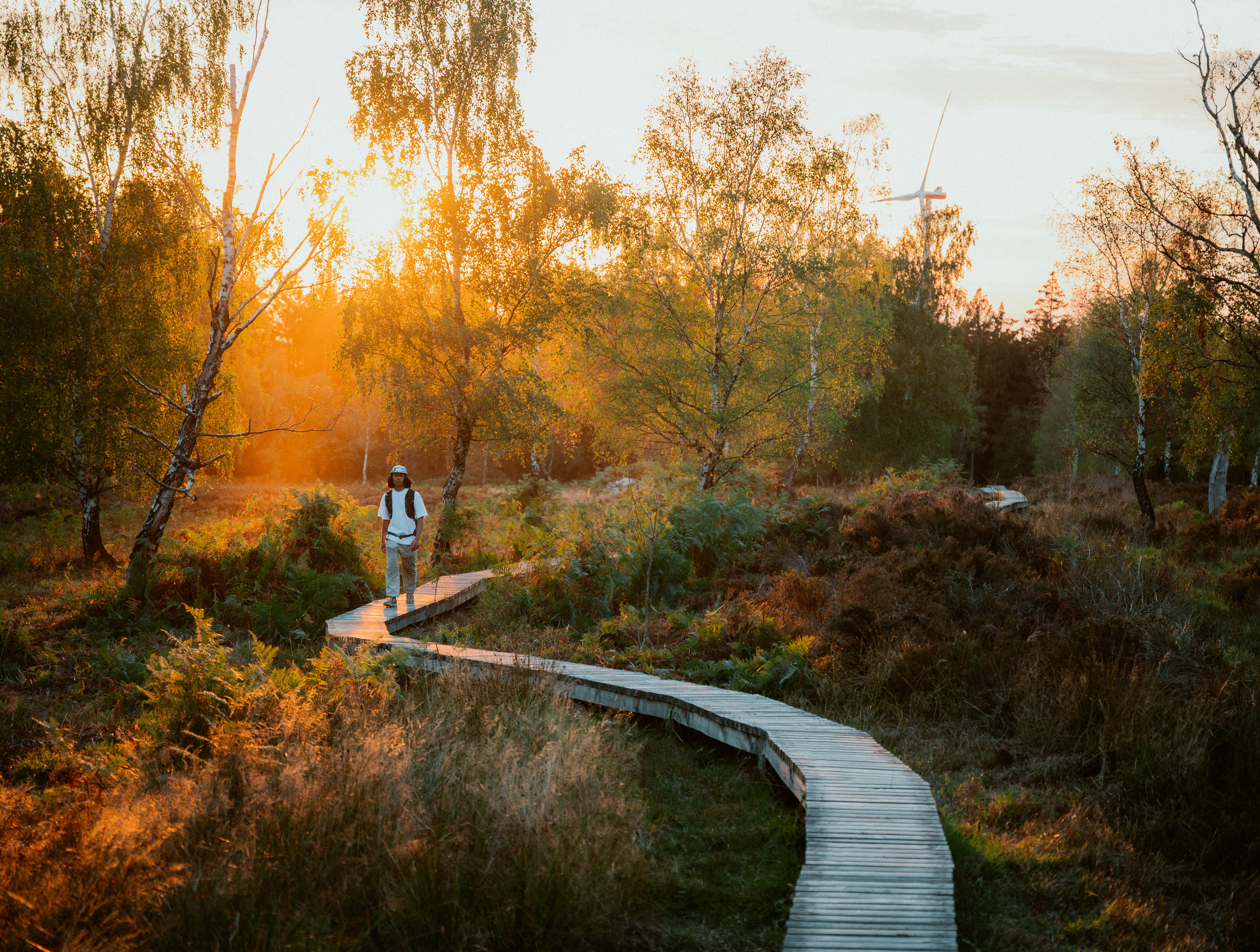 Struffeltroute Roetgen in der Eifel
