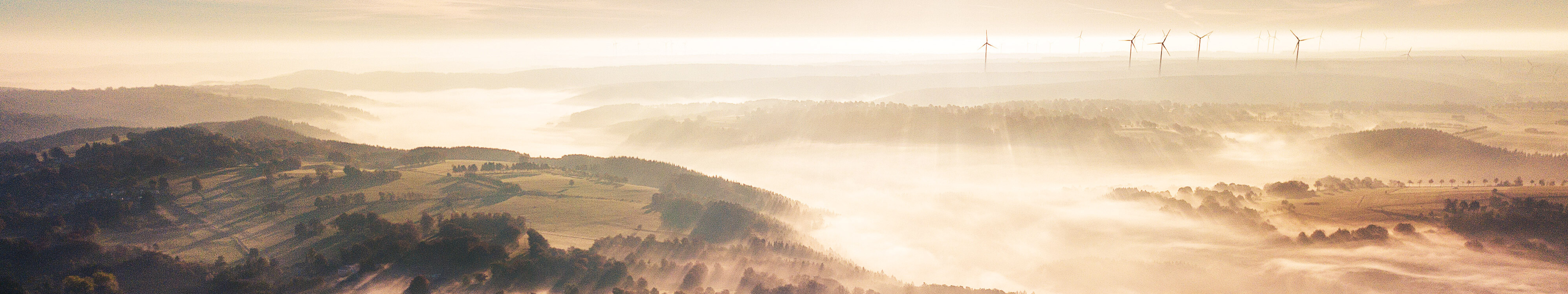 Bei Sonnenaufgang liegt Nebel über den Wiesen und Wäldern der Eifel. 