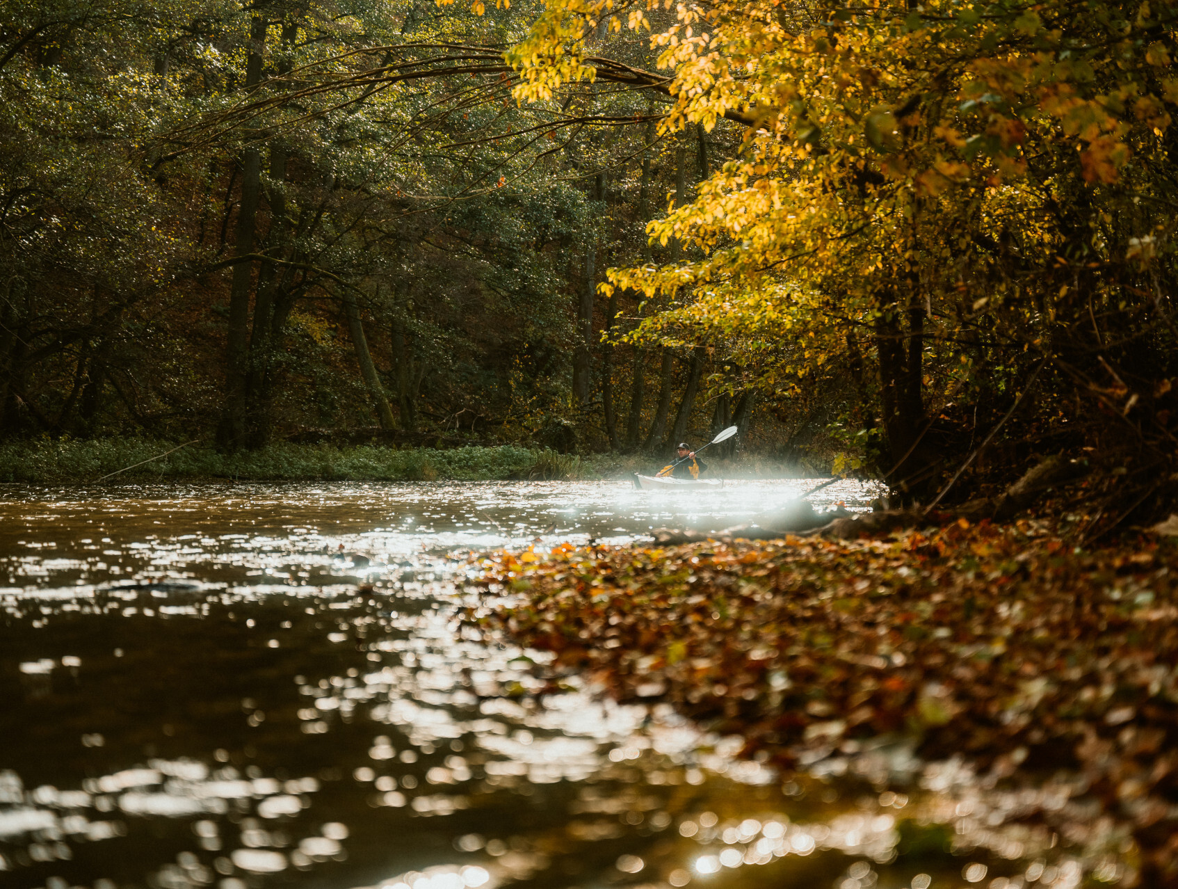 Kayaktour im Herbst auf der Rur.