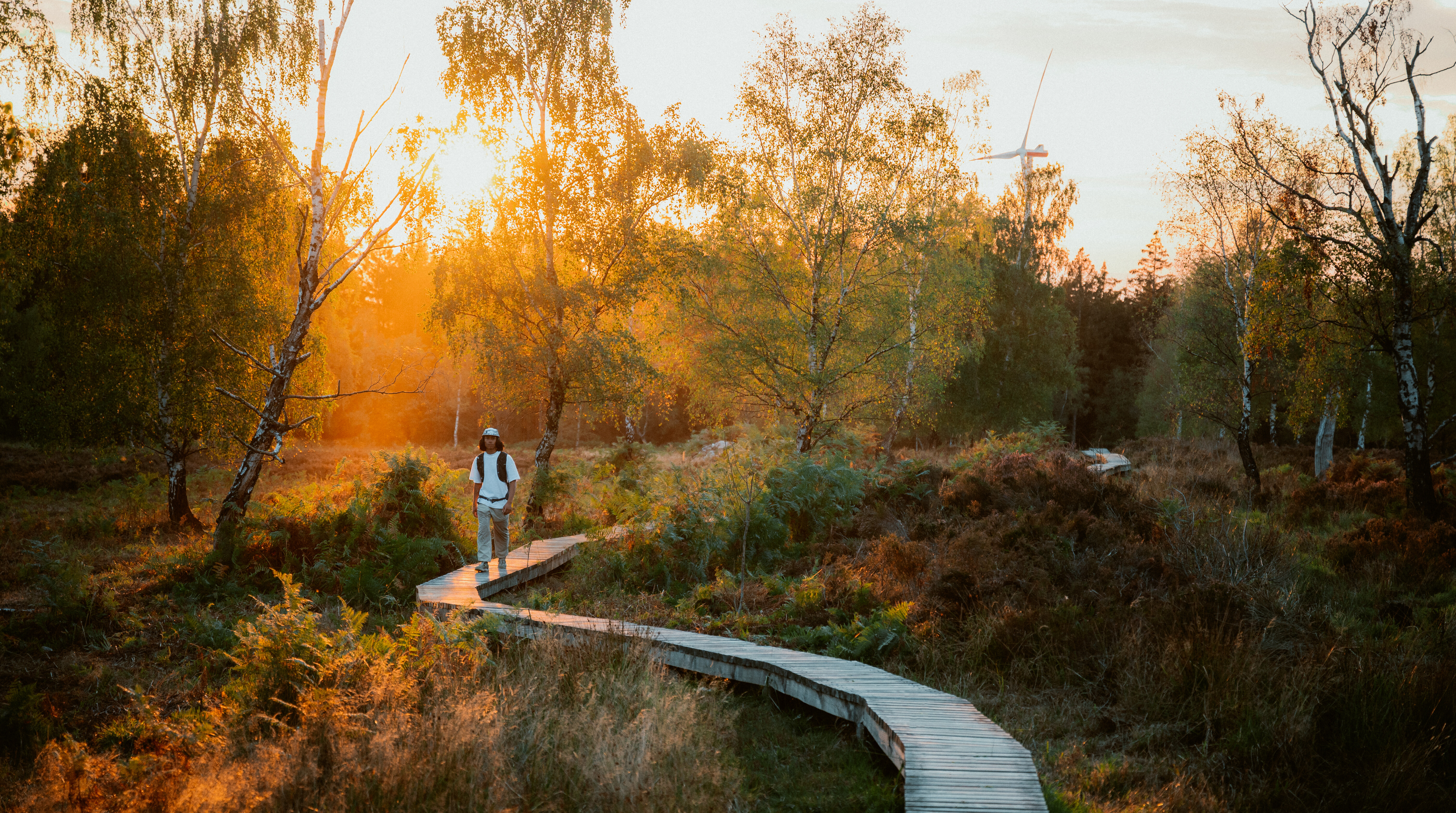 Struffeltroute Roetgen in der Eifel