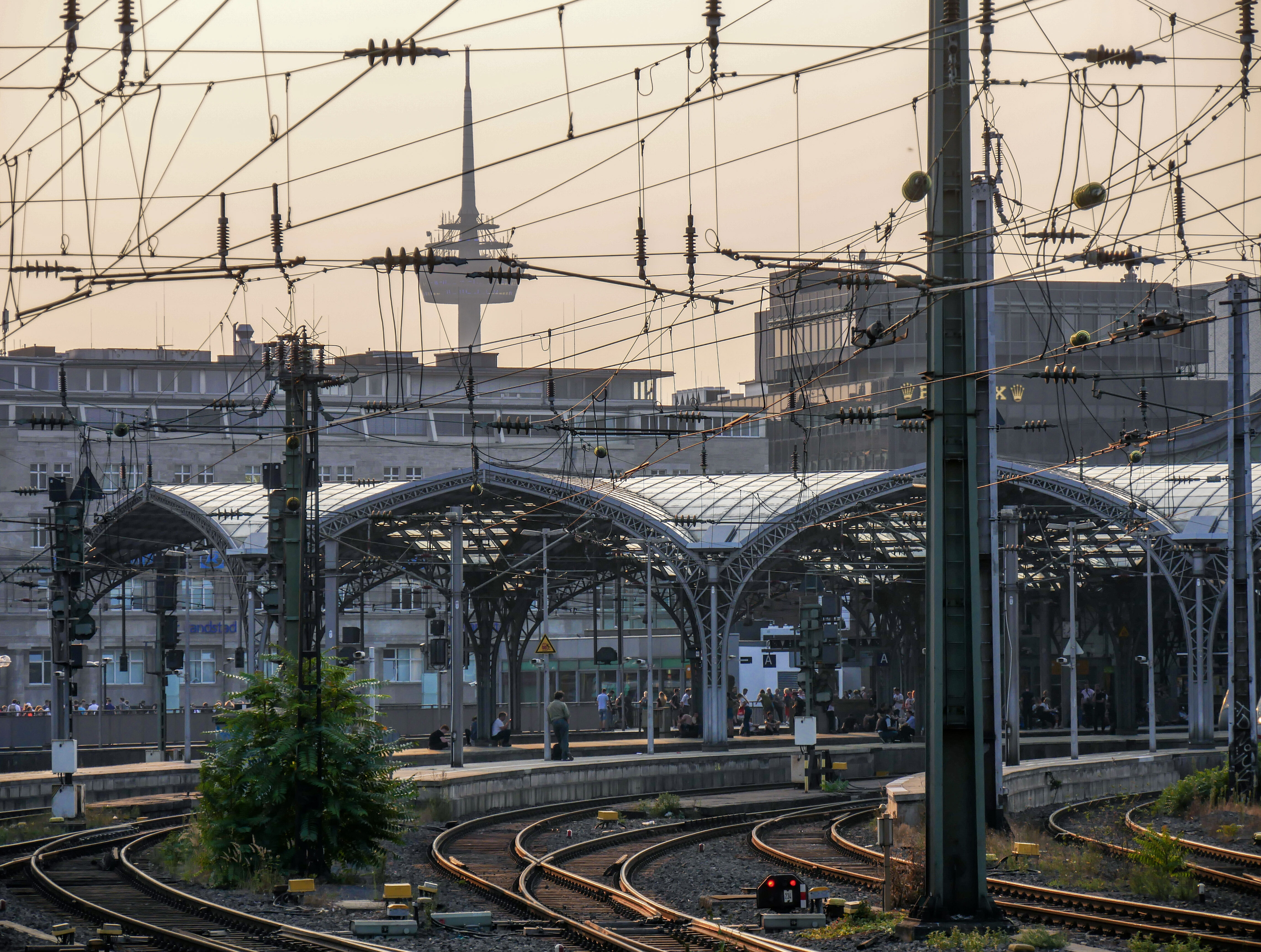 Gleise führen in den Hauptbahnhof in Köln