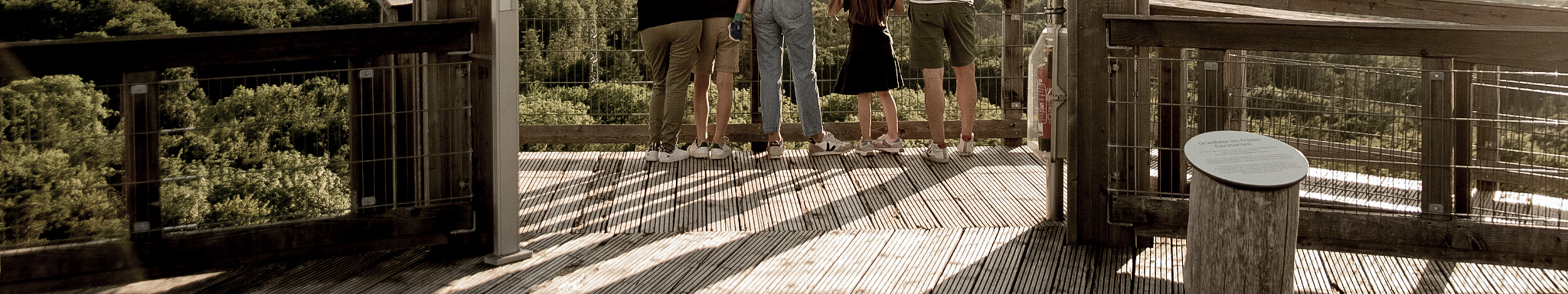 Eine Familie genießt die Aussicht vom Baumwipfelpfad Panarbora im Bergischen Land.