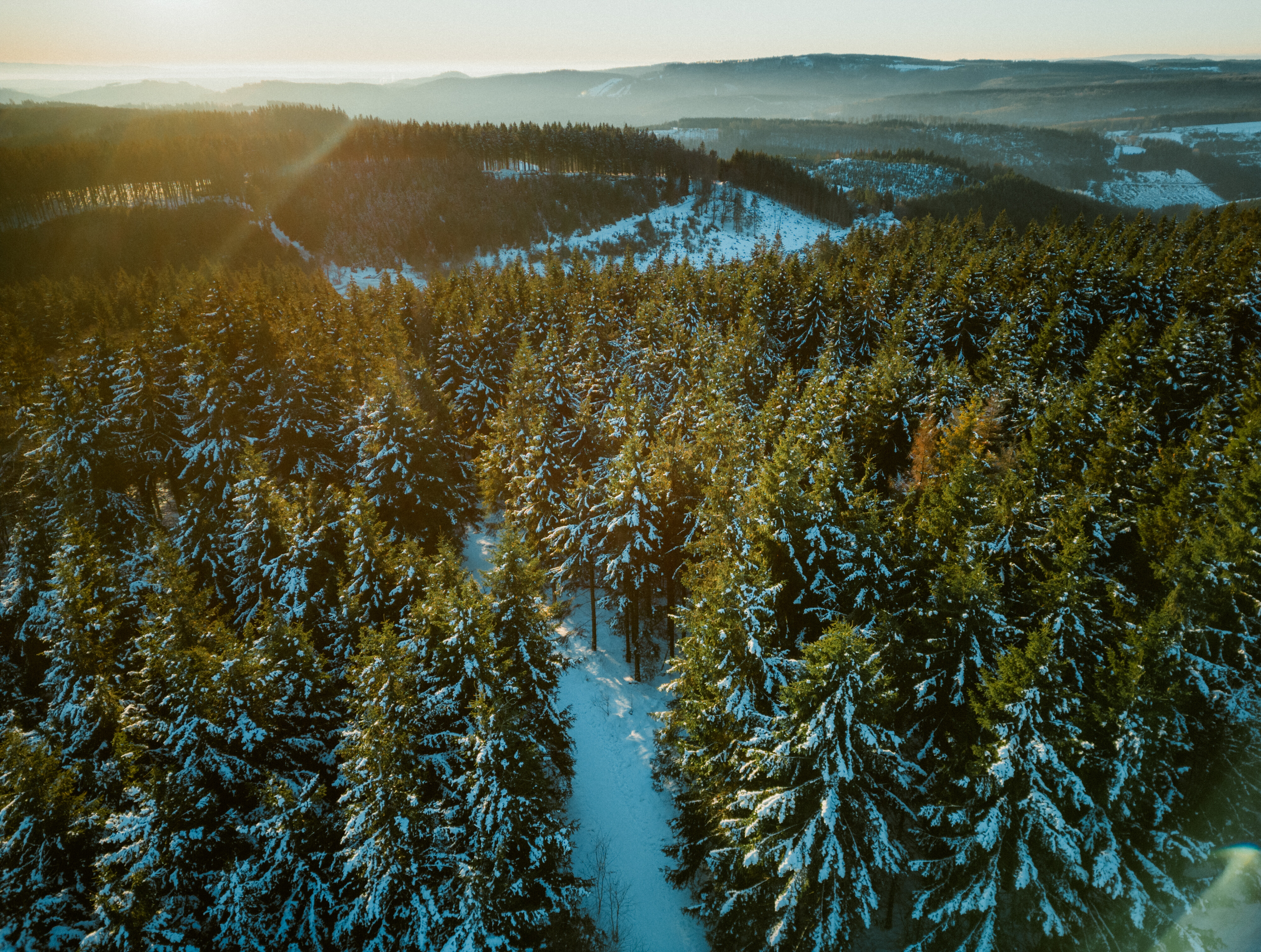 Drohnenaufnahme Fichtenwald bei Winterberg