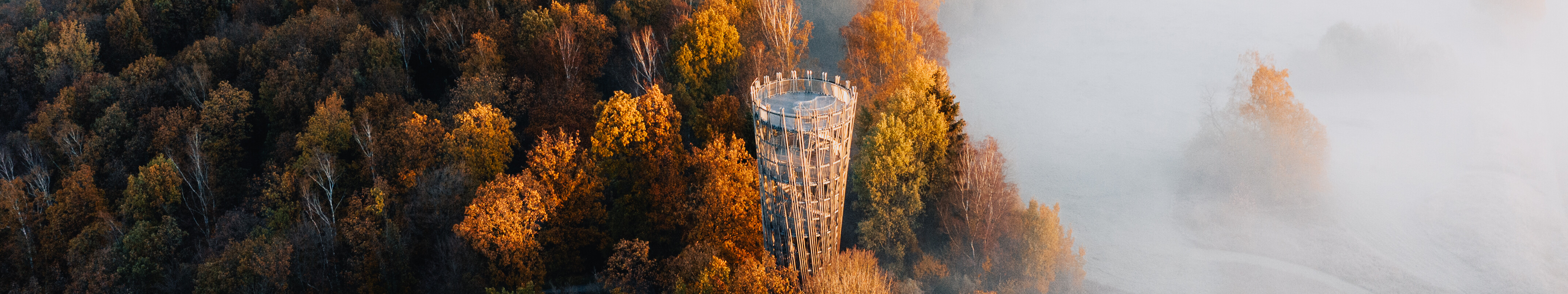Nebelschwaden im herbstlich gefärbtem Wald am hölzernen Jübergturm im Sauerland  