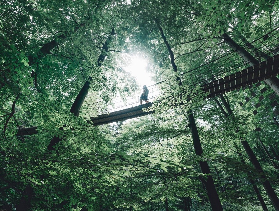 Hängebrücke Kühhude am Rothaarsteig in Siegen-Wittgenstein © Leo Thomas Ein Mann läuft über die Hängebrücke Kühhude am Rothaarsteig in Siegen-Wittgenstein.