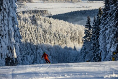 Ein Skifahrer fährt einen schneebedeckten Hang bei Winterberg hinab. Auch die umstehenden Bäume sind schneebedeckt.  