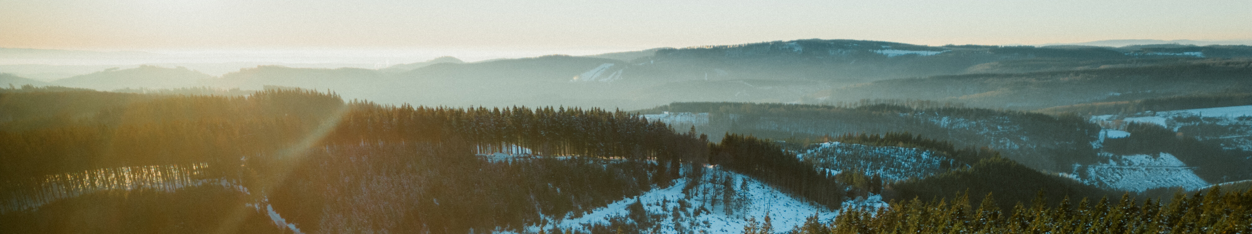Drohnenaufnahme Fichtenwald bei Winterberg