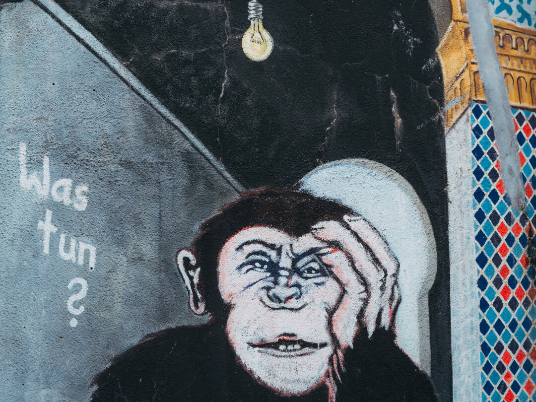 Denkender Affe Street Art Düsseldorf