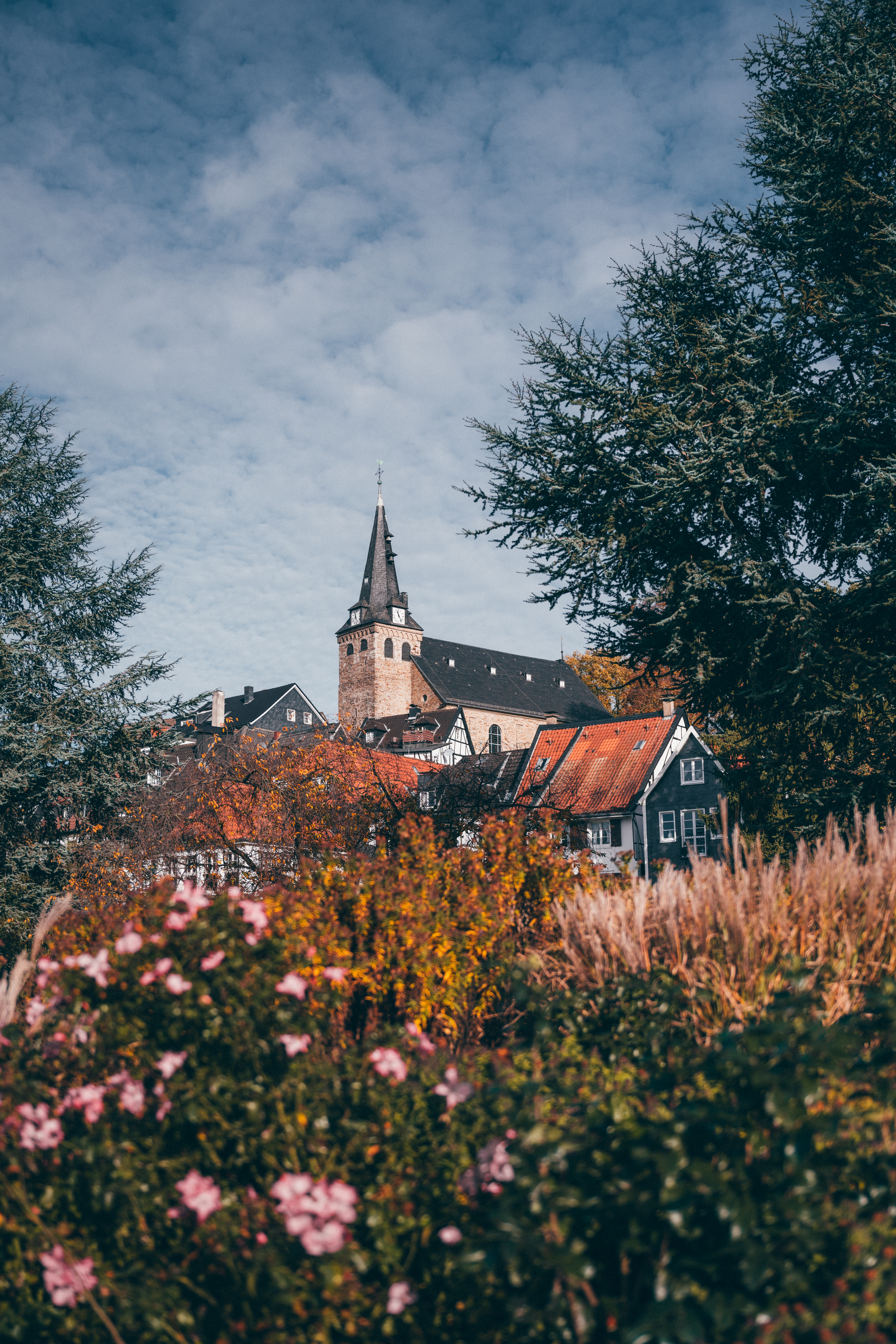 Blick über Sträucher auf den historischen Ortskern von Essen-Kettwig mit Kirchturm  