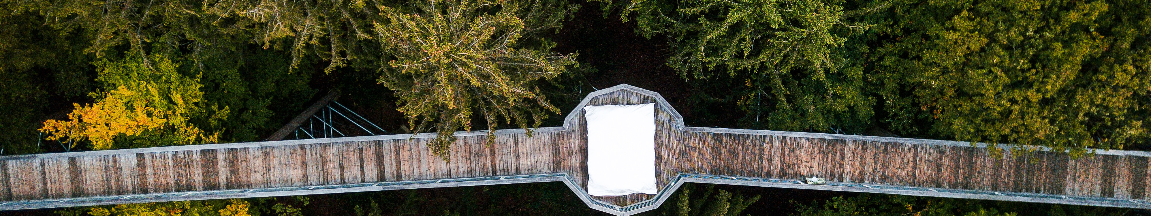 Blick von oben auf den Holzsteg des Panarbora Baumwipfelpfads mit runder Aussichtsplattform in der Mitte, auf der ein großes weißes Kissen liegt