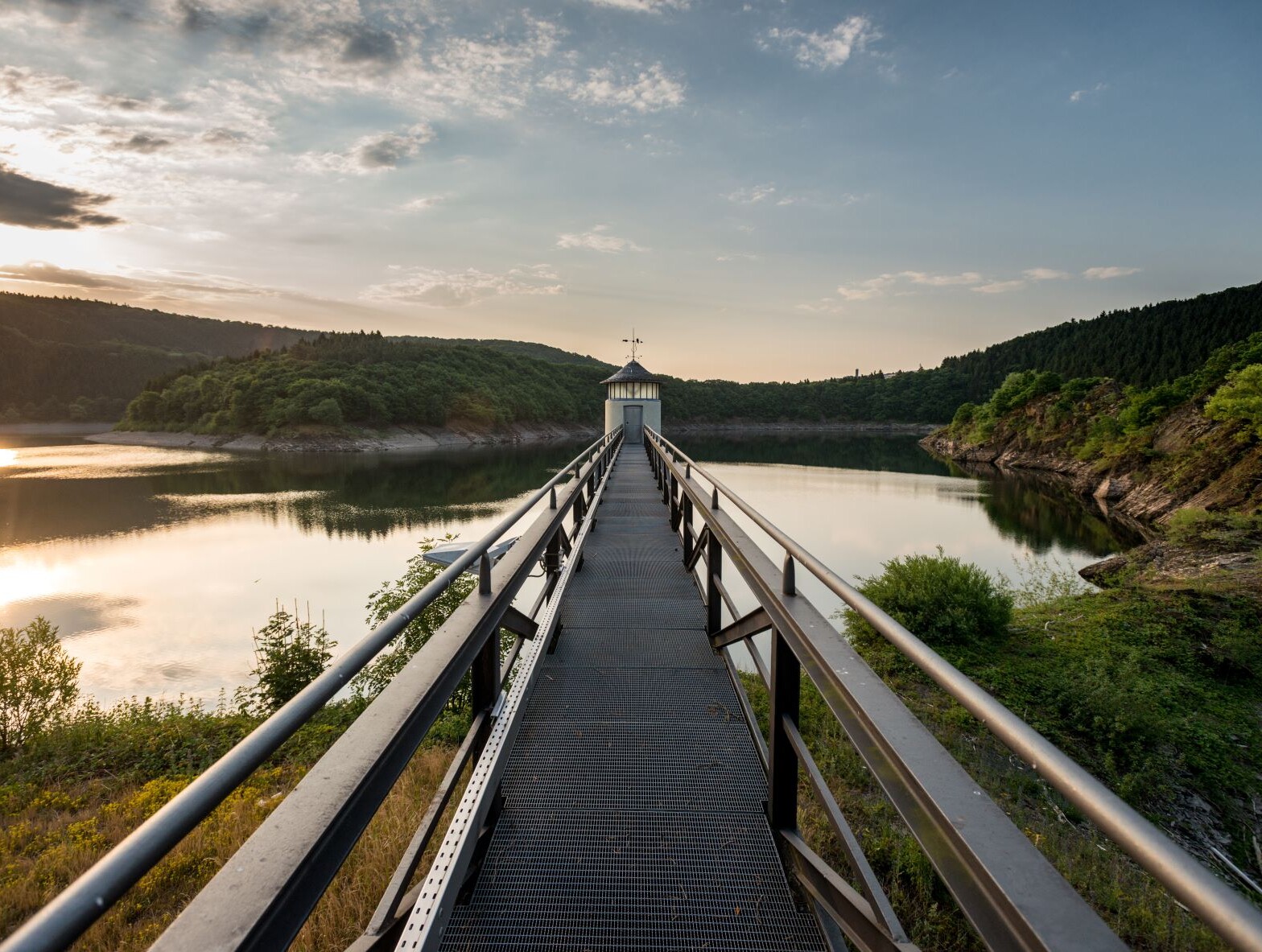 Ein schmaler Holzsteg  über der Urfttalsperre im Nationalpark Eifel. Am Ufer stehen dicht bewachsene Bäume und die Sonne spiegelt sich im Wasser. 