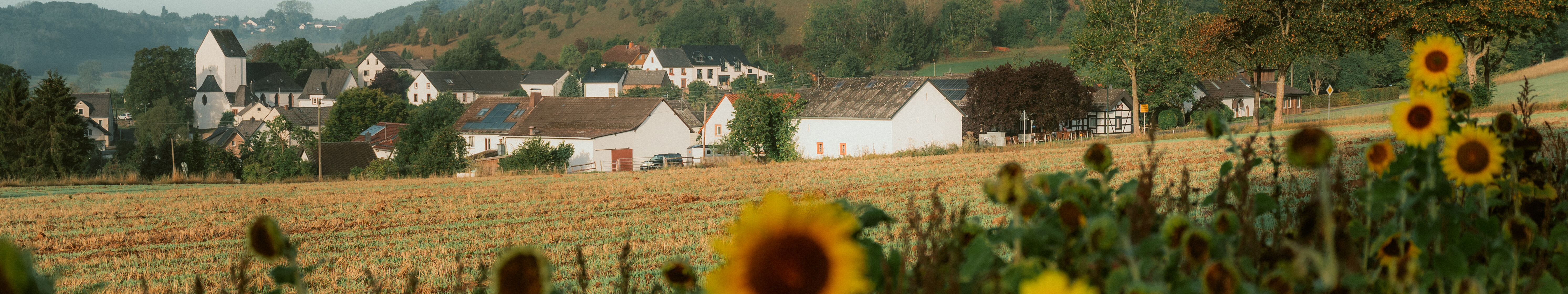 Sonnenblumen in Alendorf in der Eifel © Tourismus NRW e.V./Johannes Höhn Sonnenblumen in Alendorf in der Eifel
