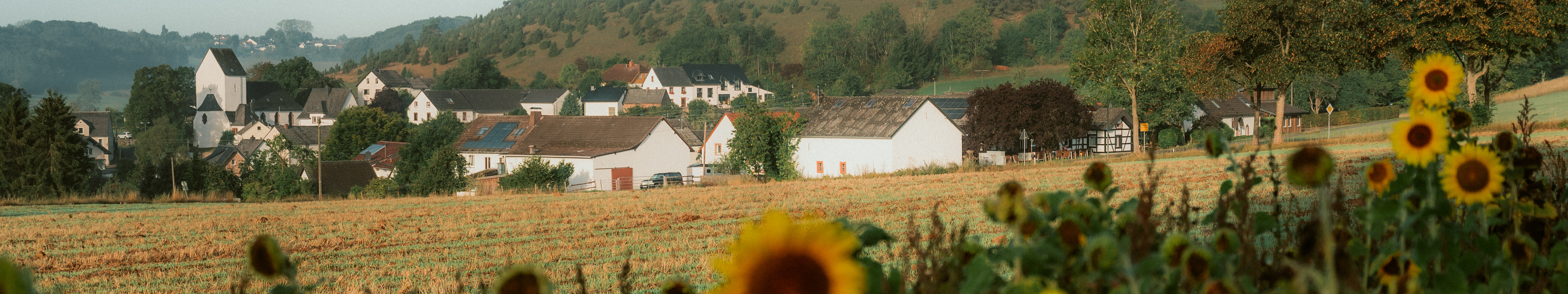 Sonnenblumen in Alendorf in der Eifel © Tourismus NRW e.V./Johannes Höhn Sonnenblumen in Alendorf in der Eifel