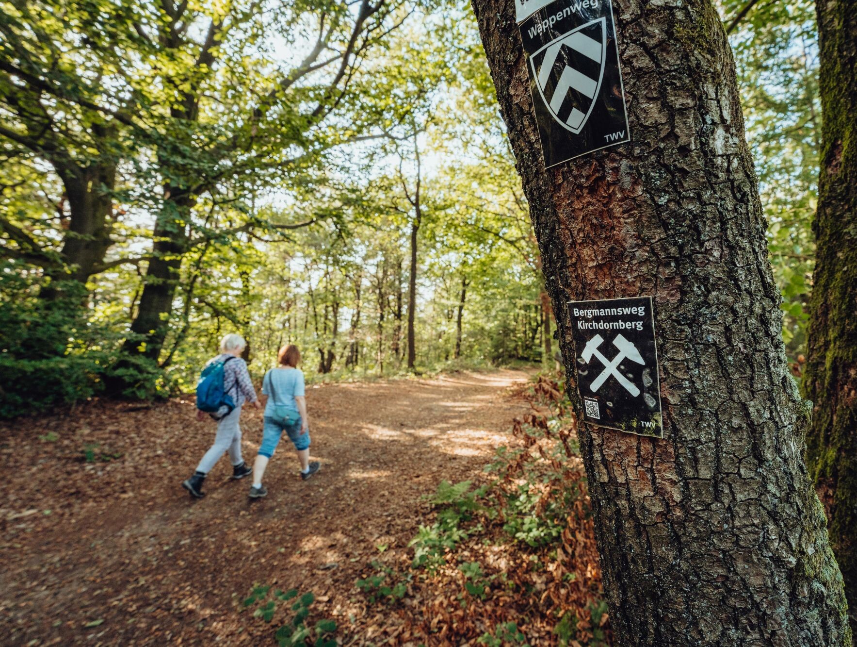 Bielefelder Bergmannsweg © Bielefeld Marketing/Tim Fröhlich Zwei Wandernde laufen in Bielefeld über einen Waldweg. An einem Baum hängt die Wegmarkierung des Bielefelder Bergmannwegs.
