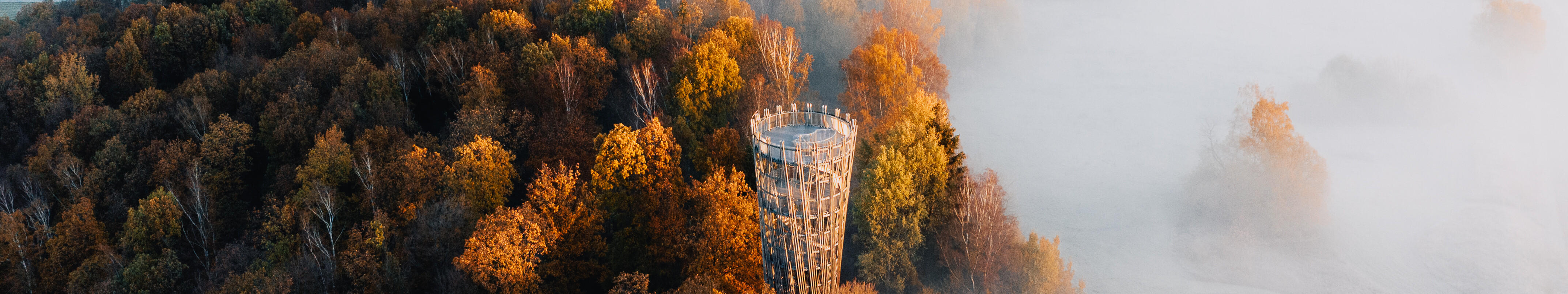 Herbststimmung am Jübergturm im Sauerland © Lennart Pagel
