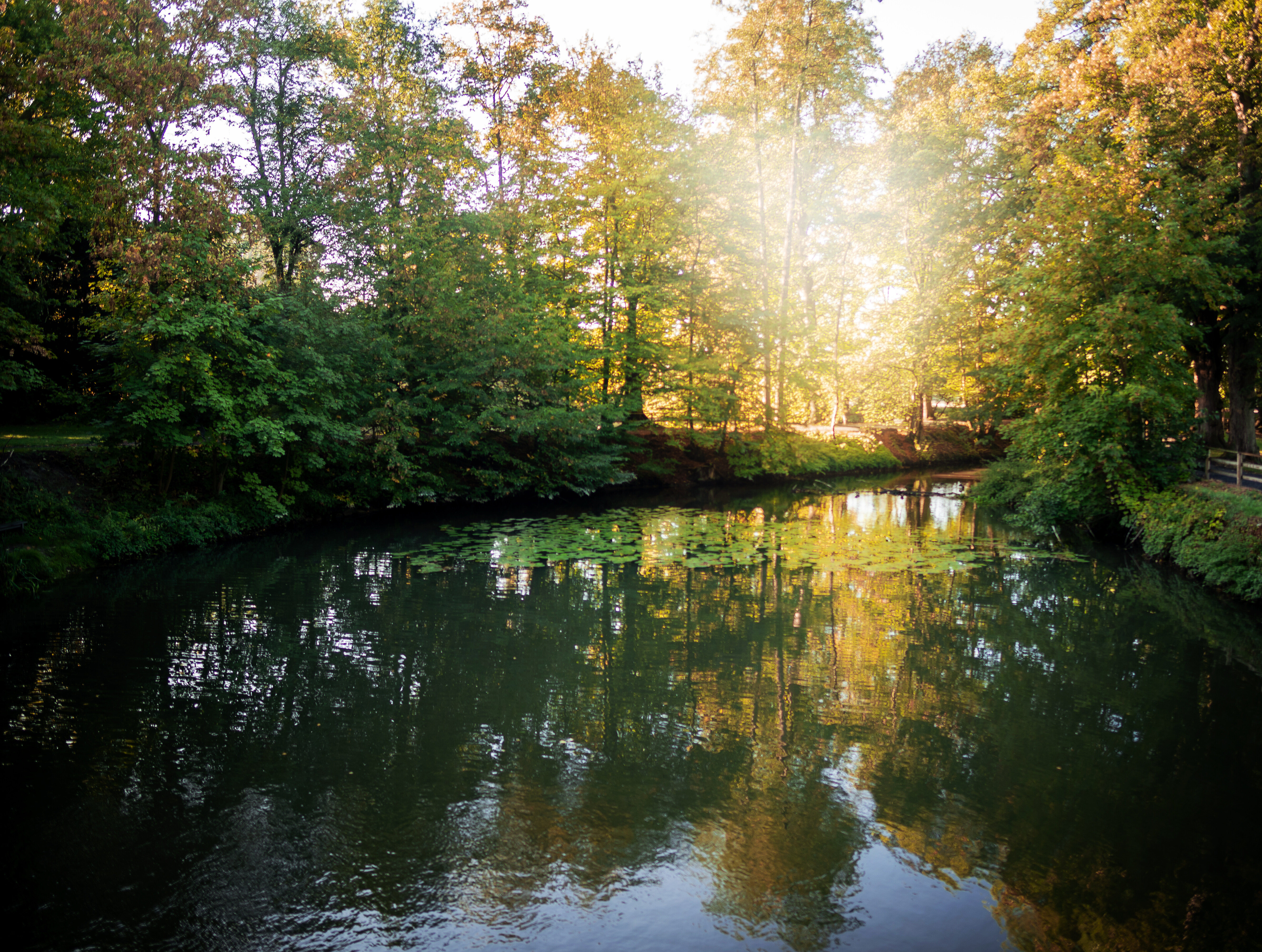 Die Sonne scheint durch die Bäume, die sich im Teich von Burg Vischering im Münsterland spiegeln. 