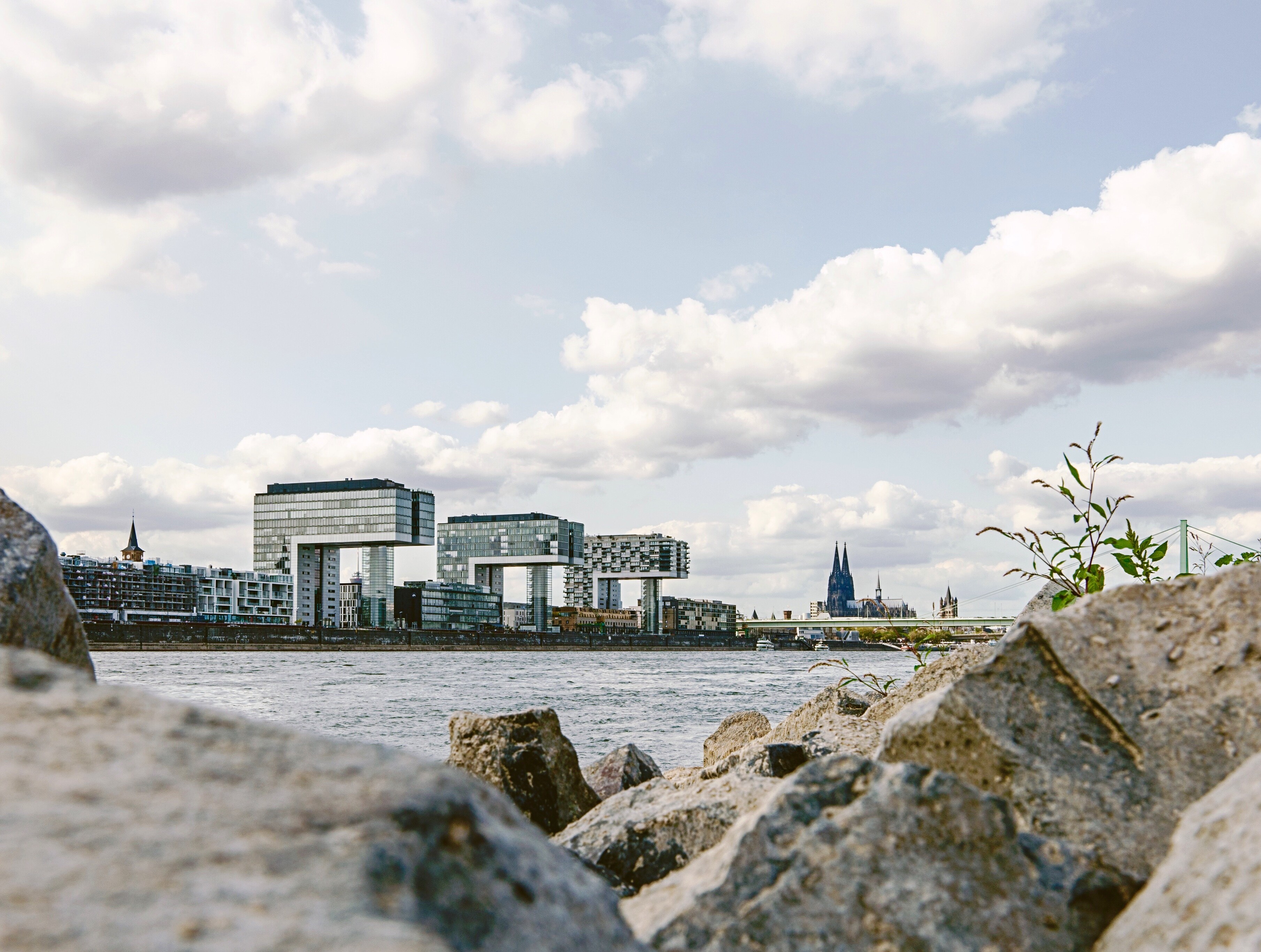 Wie Kräne ragen die drei Hochhäuser am Kölner Rheinufer über das Wasser. Im Hintergrund ist der Dom zu sehen. 